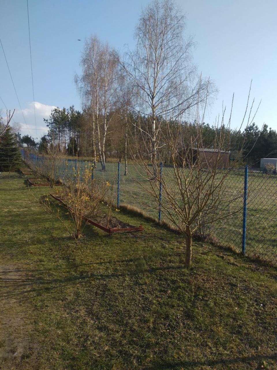 Dom Wakacyjny U Alicji Pasym Esterno foto